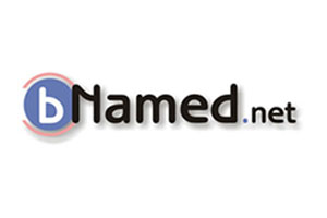 Logo nameweb